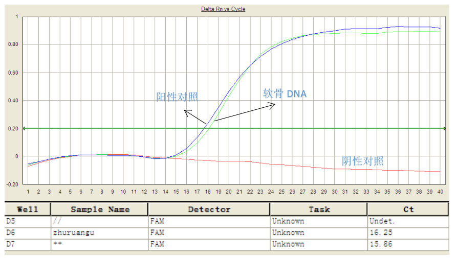 simgen-軟骨DNA純化試劑盒-熒光定量PCR豬源性檢測(cè)結(jié)果