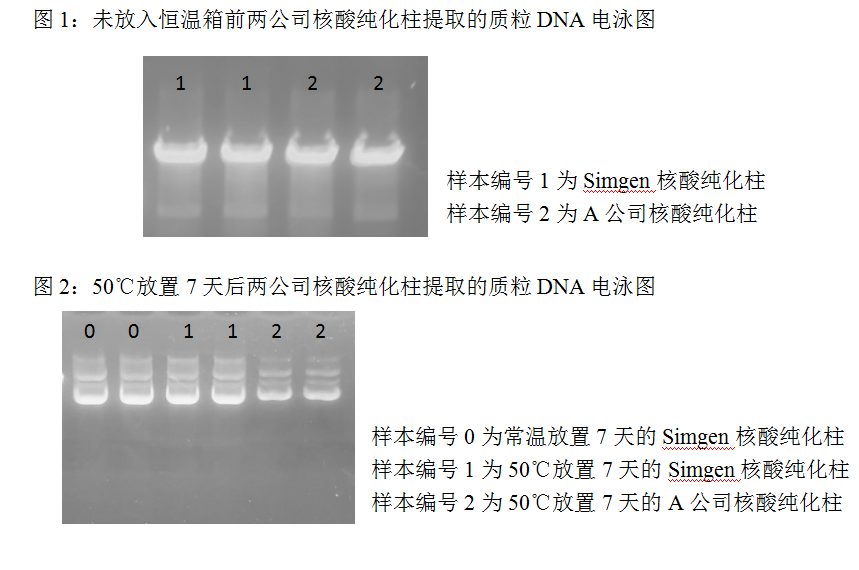  快速質(zhì)粒DNA小量試劑-Sim-100超微量分光光度計(jì)-質(zhì)粒純化柱 Ⅱ-電泳結(jié)果圖