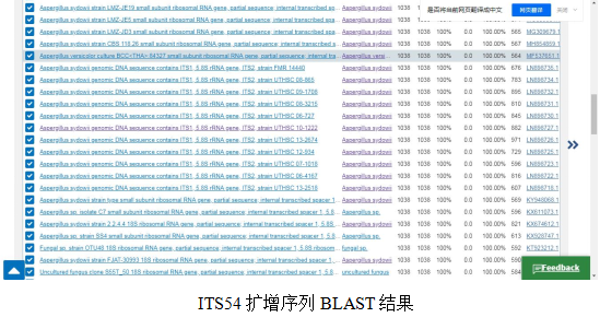 simgen-2×PCR Mix-植物/真菌DNA試劑盒-ITS54擴(kuò)增序列 BLAST結(jié)果